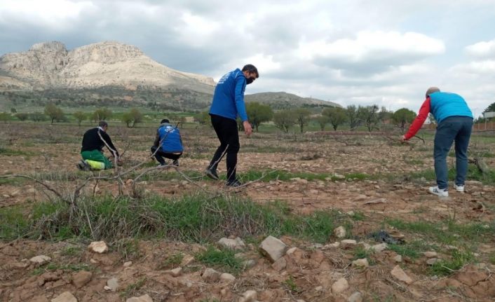 Vefa ekibi sokağa çıkamayan yaşlıların bağlarını budadı