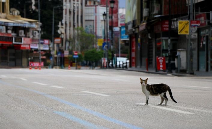 Adana’nın en işlek caddelerinde ıssızlık hüküm sürüyor