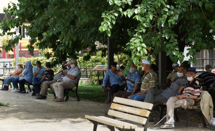 Ağaç gölgeleri yaşlılara korunak oldu