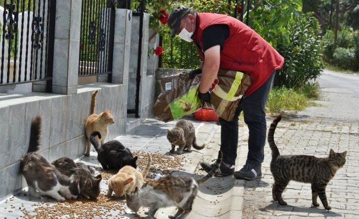 Aliağa Belediyesi mama dağıtımlarını sürdürüyor