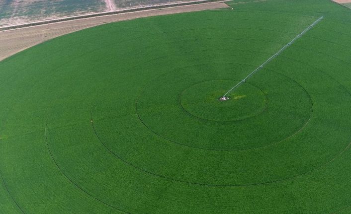 Amasya’da 494 bin 60 dekar tarım arazisi sulanacak