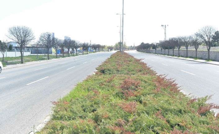 Ankara Büyükşehir Belediyesinden sulamada tasarruf dönemi