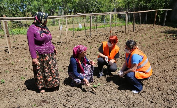 Atakum’dan 600 üreticiye 21 bin fide desteği