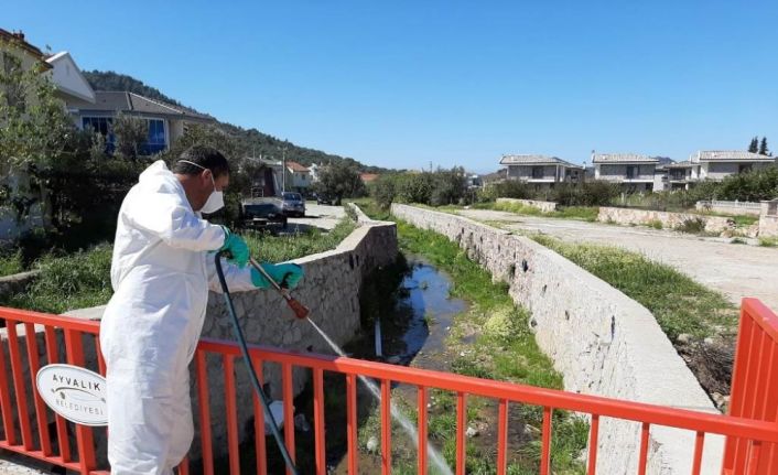 Ayvalık’ta “sivrisinek” ile amansız mücadele sürüyor