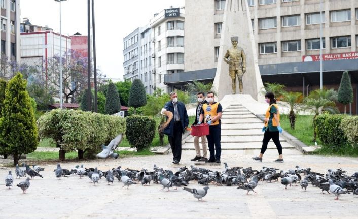 Başkan Akay güvercinleri besledi