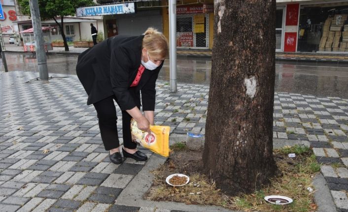 Başkan Erdem, yağmur altında sokak hayvanlarını besledi