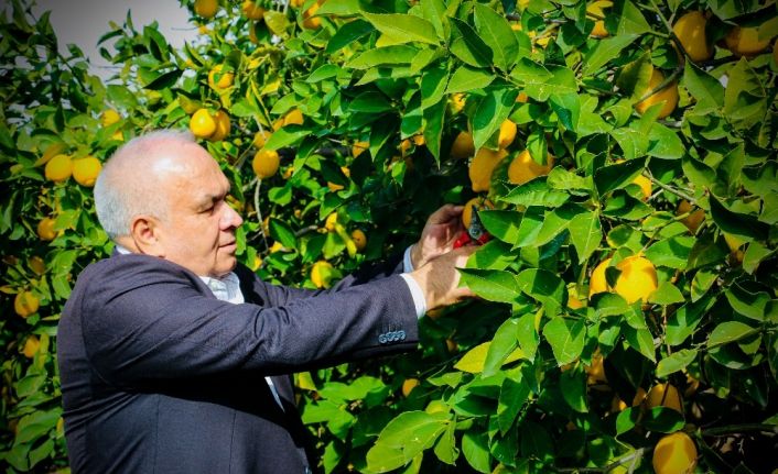 Başkan Tollu: “Çiftçilerimizin her zaman hizmetindeyiz”