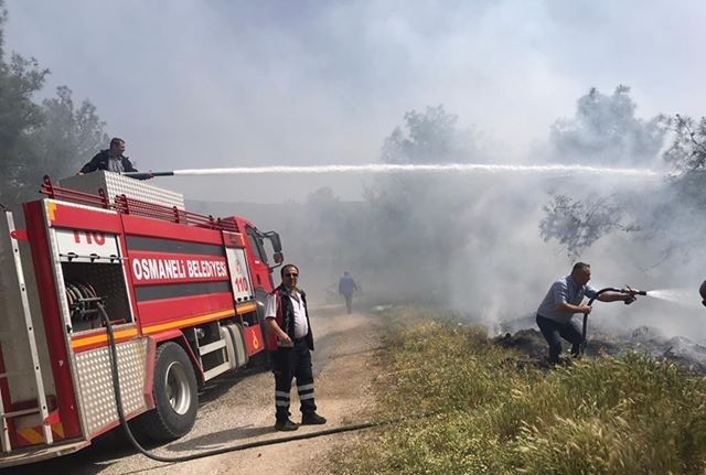 Bilecik’te çıkan yangın ormana sıçramadan söndürüldü