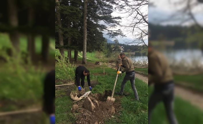 Bolu’da, Gölcük Tabiat Parkı’na fidan dikimi yapıldı