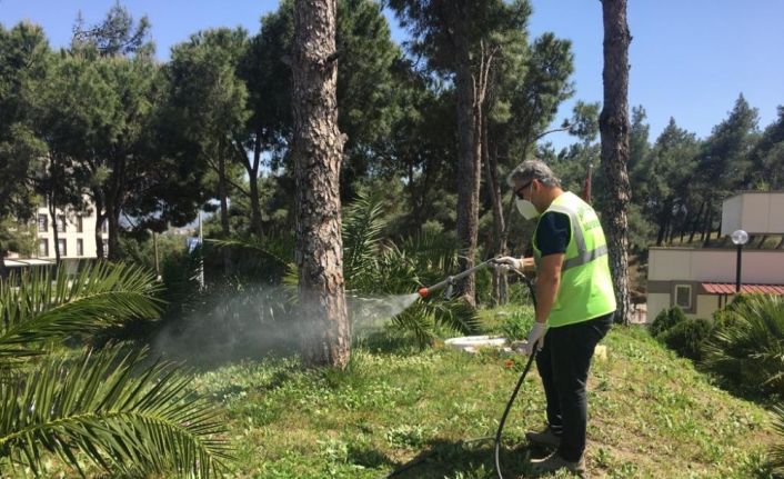 Burhaniye’de parklar dezenfekte edildi