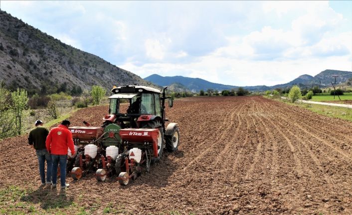 Çiftçiler korona virüse rağmen üretimi sürdürüyor