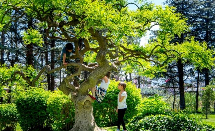 Çocuklar soluğu kampüste aldı