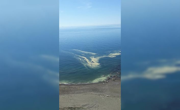 Denizdeki renk değişiminin polen kaynaklı olduğu açıklandı