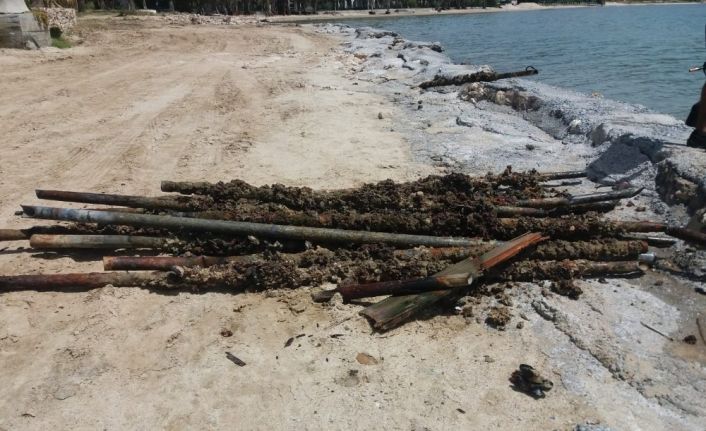 Didim Belediyesi’nden denizde temizlik çalışmaları.