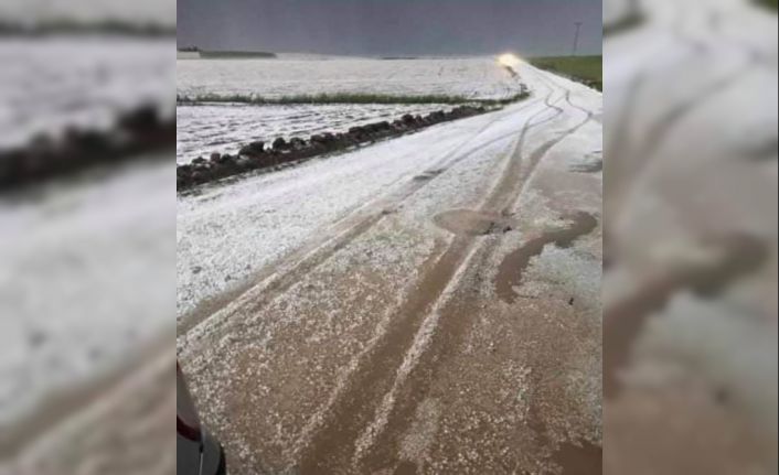 Diyarbakır’da dolu ekili alanlarda zarara yol açtı