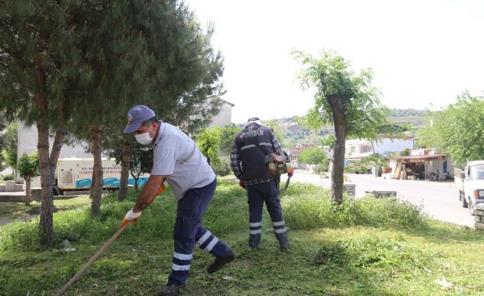 Efeler’de yeşil alanların bakımı devam ediyor