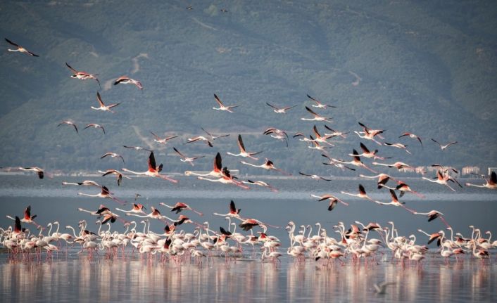 Gediz Deltası’nın güney kesimine ‘Doğa Rotası’