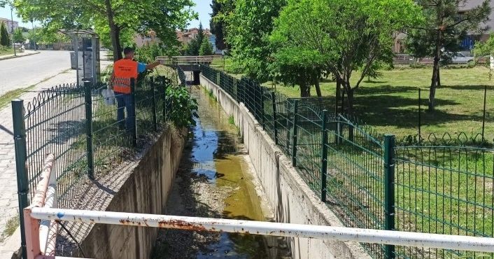 Gediz’de ilaçlama çalışmaları başladı