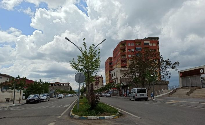 Gercüş’te cadde, sokak ve parklar boş kaldı