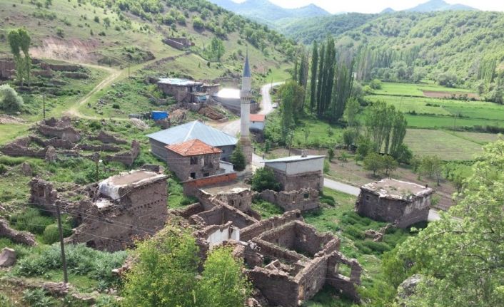 Gidemedikleri köylerine kamera yerleştirip özlem gideriyorlar