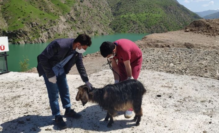 Hasta hayvanlara ulaşmak için heyelanın kapattığı yolu yaya olarak geçtiler