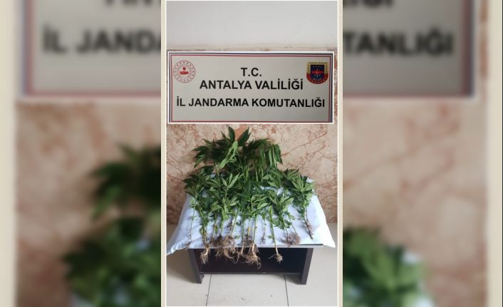 Hint keneviri ekti, "Sokağa çıkamayınca kendim ürettim" dedi