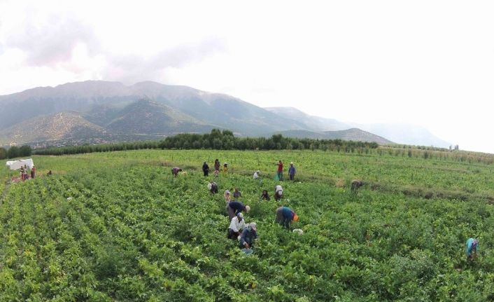 Isparta’da sulama sezonu başladı