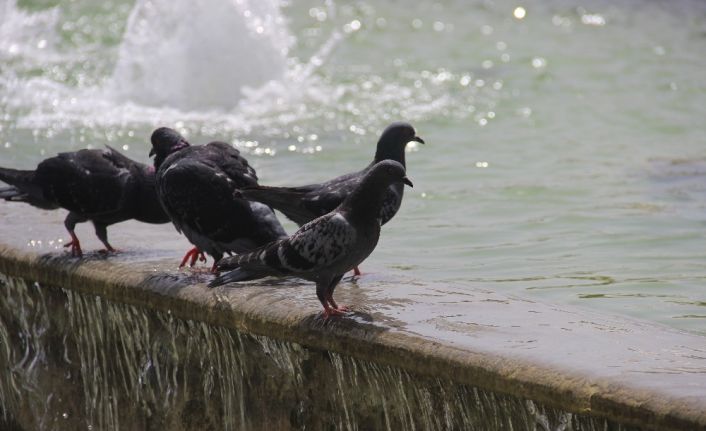 İzmir’de sıcak hava rekor seviyede