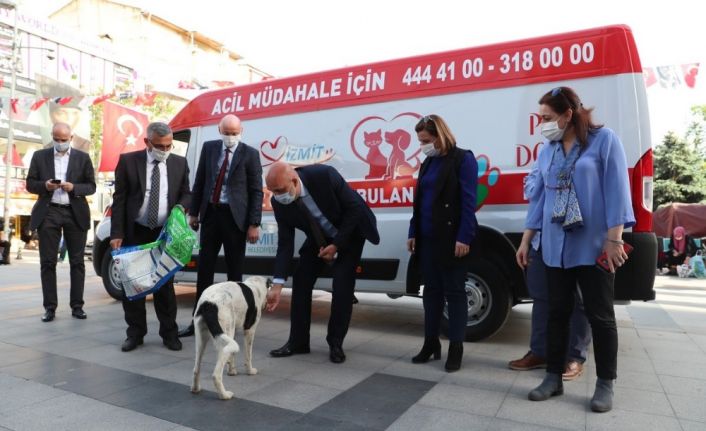 İzmit’te sokak hayvanlarının yadımına ambulans yetişecek