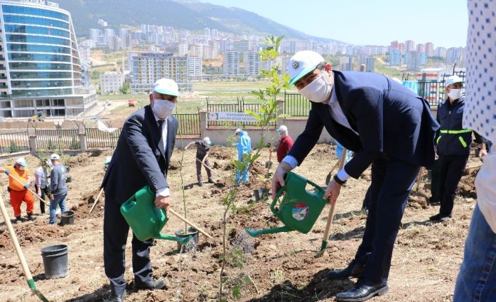 Kahramanmaraş’ta 400 sağlık çalışanı için 400 fidan