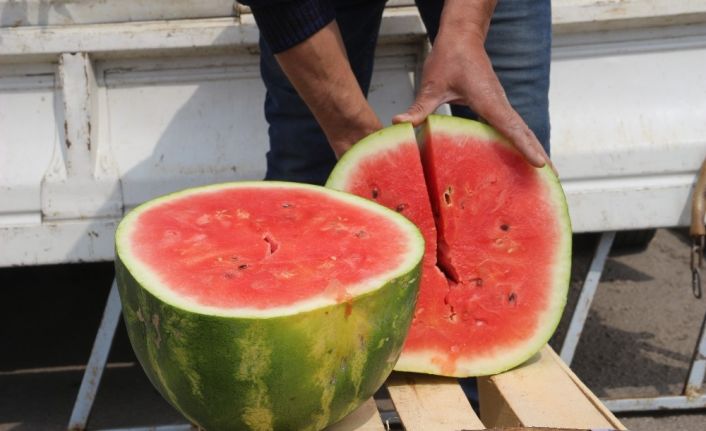 Karpuzunun kilosu yirmi lira olunca dilim dilim satılmaya başlandı