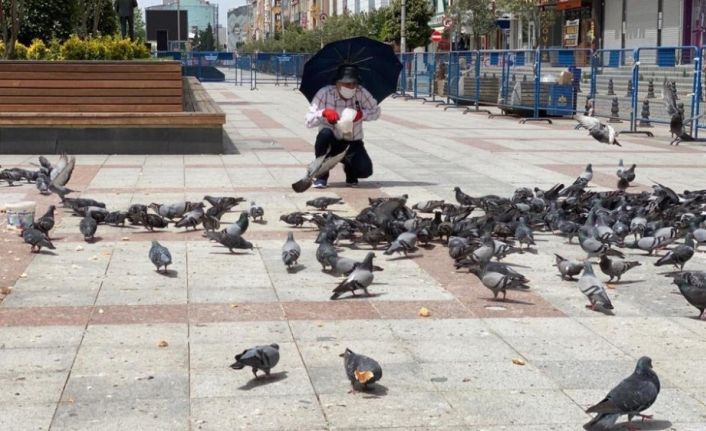 Kısıtlama günlerinde güvercinleri 65 yaş üstü vatandaşlar besledi