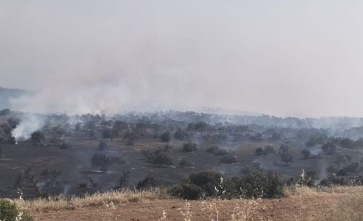 KKTC’de üç farklı bölgede yangın devam ediyor