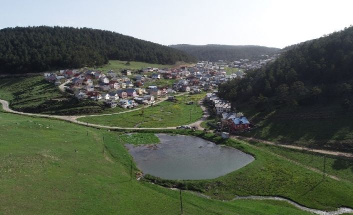 Kurbağalı Göl’den yayılan sesler tüm yaylayı kaplıyor