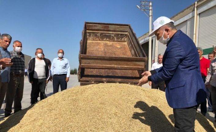 Mardin’de Dünya Çiftçiler Gününde sezonun ilk arpa hasadı yapıldı