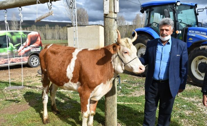 Milli dayanışma kampanyasına düvesini bağışladı