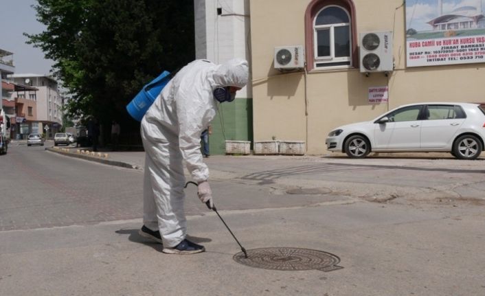 Nilüfer’de çevre zararlıları ile mücadele sürüyor