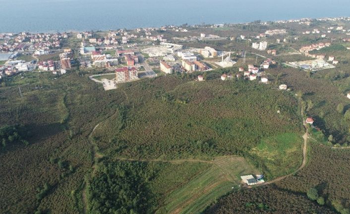 Ordu Şehir Hastanesi arazisine inceleme