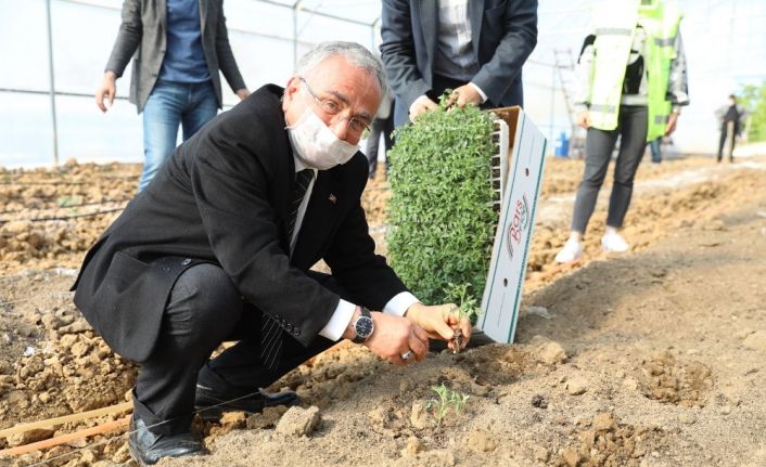 Ordu’da sözleşmeli tarım başlıyor