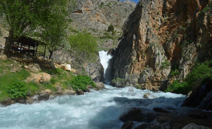 (Özel) Doğada ’Korona virüs’ sessizliği