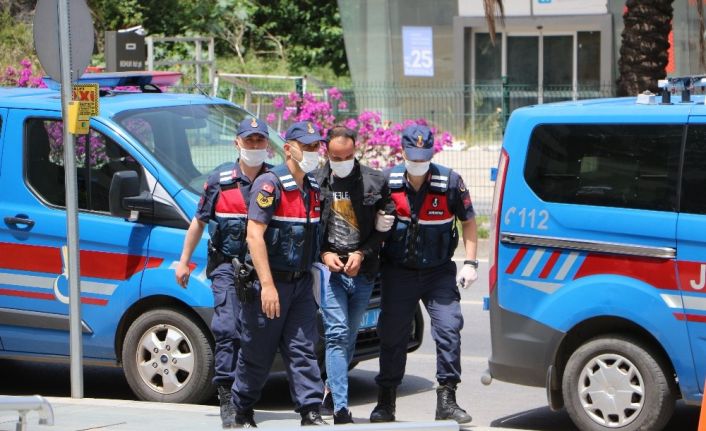 Özel düzenekle evinde uyuşturucu yetiştirilen şüpheli serbest kaldı