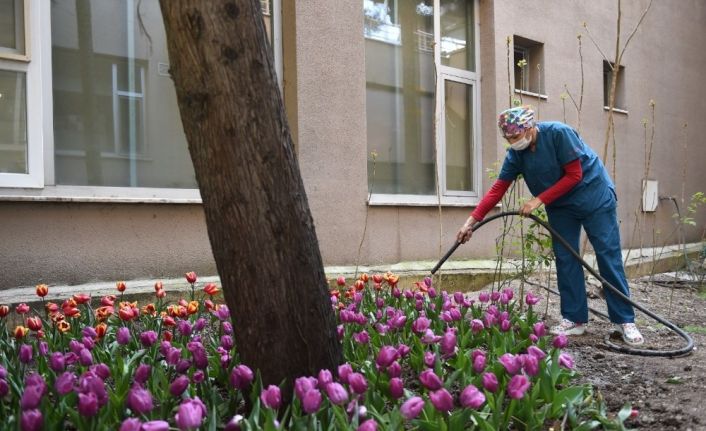 Pandeminin kalbinde güçlü dayanışma