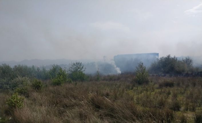 Samsun’da korkutan sazlık yangını