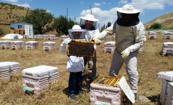 Sason arıcıları balda yüksek rekolte bekliyor