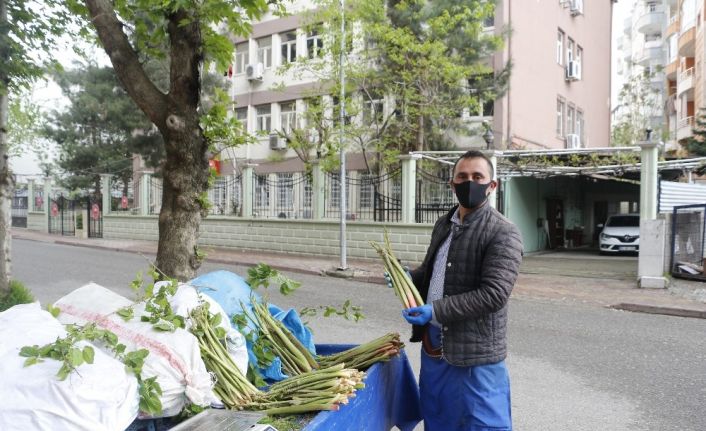 Siirt’te, yayla muzu olarak bilinen ışgının fiyatları el yakıyor