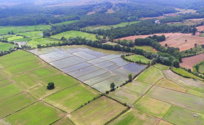 Sinop’ta 66 bin 720 dekar tarım arazisi sulanacak