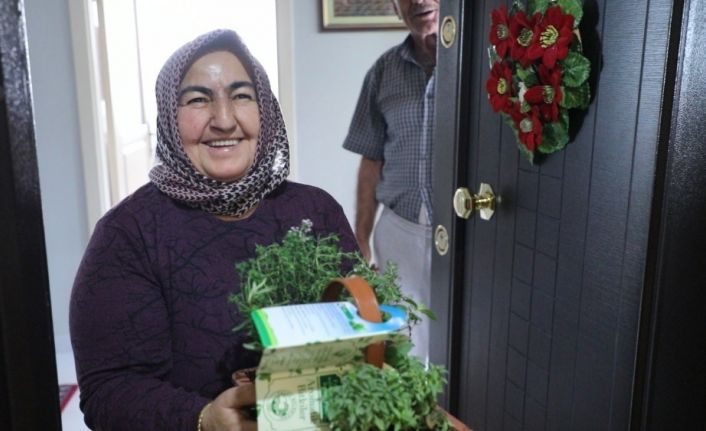 Talas Belediyesi’nden 65 üstü vatandaşlara aromatik bitkiler sepeti