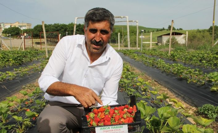 Terör bitti, Diyarbakır’da çiftçiler tarlaya indi