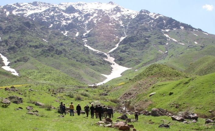 Terörden temizlenen yaylada doğa yürüyüşü