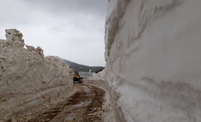 Trabzon’da karla kaplı yayla yolları açılıyor